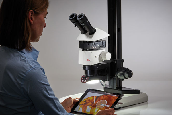 M50/M60/M80 常規體視顯微鏡